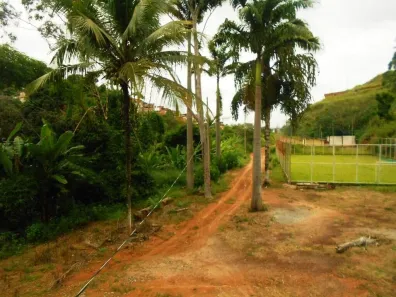 Fazenda/Sítio com 3 Quartos à venda, 180m² no Palmeiras, Ponte Nova