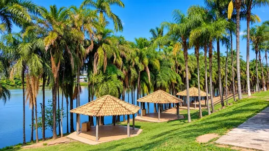 Fazenda/Sítio com 2 Quartos à venda, 7000m² no Recanto das Águas, Monte Aprazível