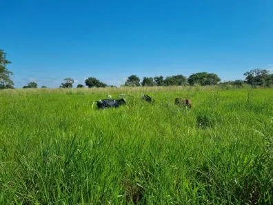 com 3 Quartos à venda, 400m² no , Nobres