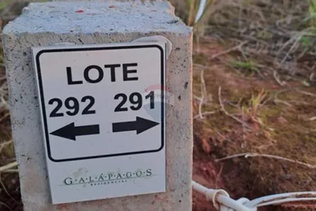 Lote/Terreno à venda, 252m² no Tomazetti, Santa Maria