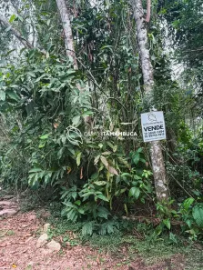 Lote/Terreno à venda, 552m² no Praia do Itamambuca, Ubatuba