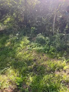 Lote/Terreno à venda, 439m² no Souza Cruz, Brusque