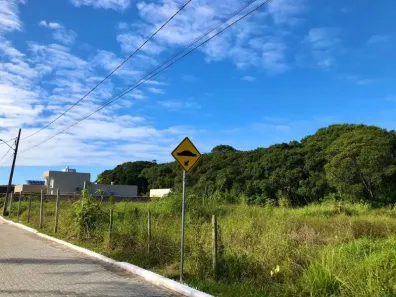 Lote/Terreno à venda, 497m² no São João do Rio Vermelho, Florianópolis