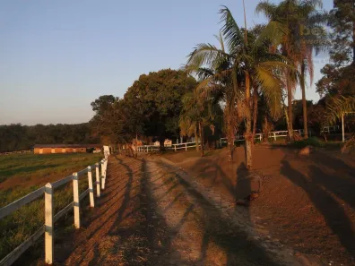 Fazenda/Sítio com 5 Quartos à venda, 507716m² no Pinheirinho, Itu