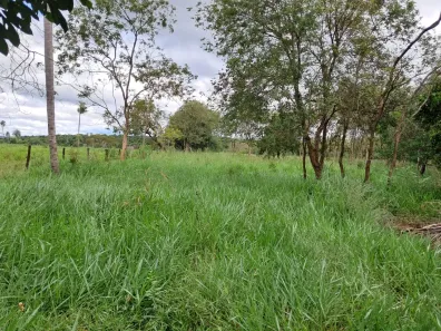 Fazenda/Sítio com 4 Quartos à venda, 238000m² no Centro, Terenos