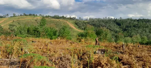 Lote/Terreno à venda, 600m² no Portão, Atibaia
