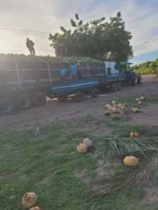 Fazenda/Sítio com 3 Quartos à venda, 400000m² no , Ceará-Mirim