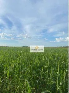 Fazenda/Sítio com 10 Quartos à venda, 700m² no , Canabrava do Norte