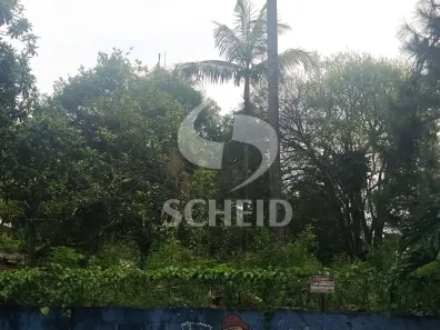 Lote/Terreno à venda, 5600m² no Chácara Monte Alegre, São Paulo