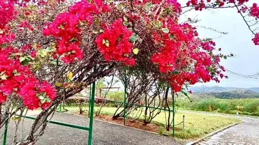Lote/Terreno à venda, 1482m² no Zona Rural, Serra de São Bento