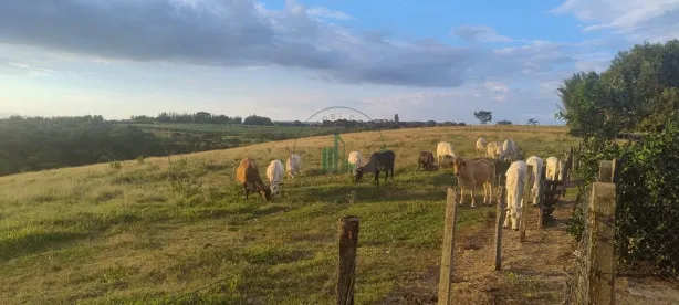 Fazenda/Sítio à venda, 181500m² no Boa Vista, Charqueada