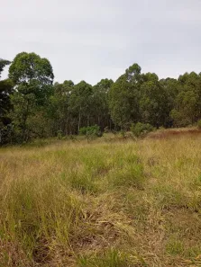 Lote/Terreno à venda, 1000m² no , Itatiaiuçu