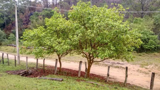 Fazenda/Sítio com 2 Quartos à venda, 50m² no Inhayba, Sorocaba