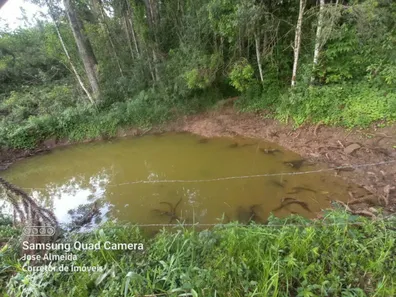 Lote/Terreno à venda, 48000m² no , Senador Amaral