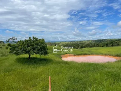 Fazenda/Sítio à venda, 145200m² no , Silvânia