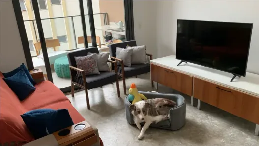 Apartamento com 3 Quartos à venda, 98m² no Vila Clementino, São Paulo