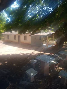 Fazenda/Sítio com 2 Quartos à venda, 80m² no , Pirenópolis
