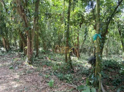 Lote/Terreno à venda, 1840m² no Jardim Carolina, Ubatuba