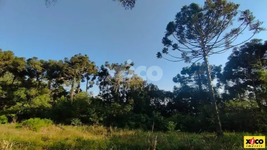 Fazenda/Sítio com 1 Quarto à venda, 5000m² no Pinhal Alto, Nova Petrópolis