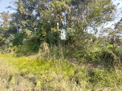 Lote/Terreno à venda, 7000m² no Gaivota (Interior), Itanhaém