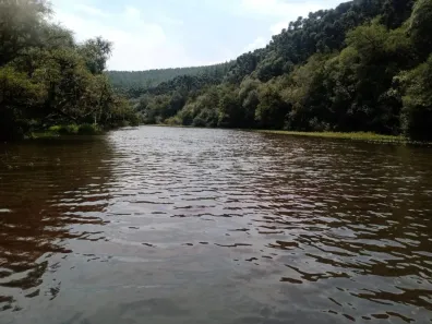 Lote/Terreno à venda, 60000m² no , Canela