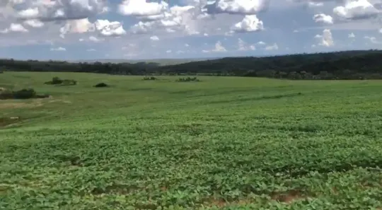 Fazenda/Sítio à venda, 115m² no , Água Fria de Goiás