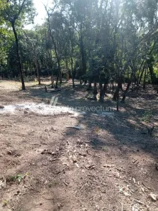 Lote/Terreno à venda, 2350m² no Paiol Velho, Vinhedo