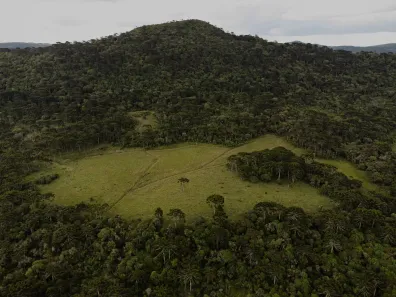 Fazenda/Sítio à venda, 350000m² no , Urubici
