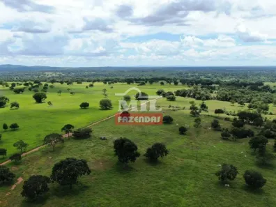 Fazenda/Sítio à venda, 20000m² no , Santa Terezinha de Goiás