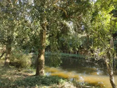 Fazenda/Sítio com 4 Quartos à venda, 120m² no , Andradas