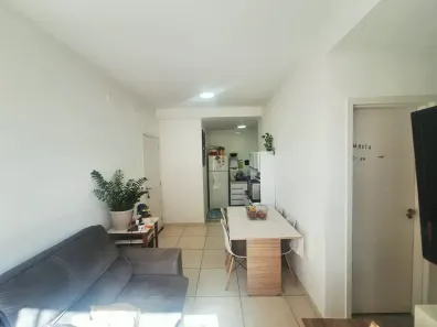 Apartamento com 2 Quartos à venda, 50m² no Jardim Maria Luíza, Sumaré