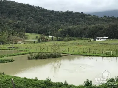 Fazenda/Sítio com 3 Quartos à venda, 130000m² no Vila Nova, Joinville