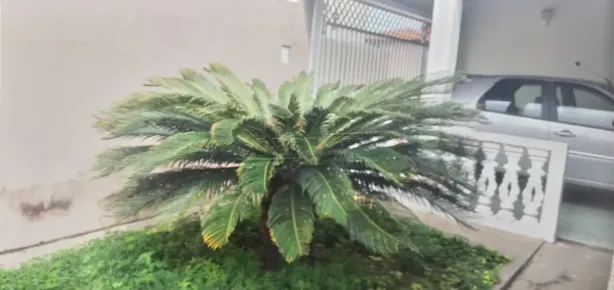 Casa com 3 Quartos à venda, 105m² no Vila Jacobucci, São Carlos
