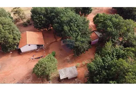 Fazenda/Sítio com 4 Quartos à venda, 726000m² no Nova Caiuá, Caiuá