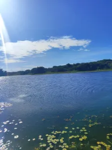 Fazenda/Sítio com 4 Quartos à venda, 720000m² no , Brejinho