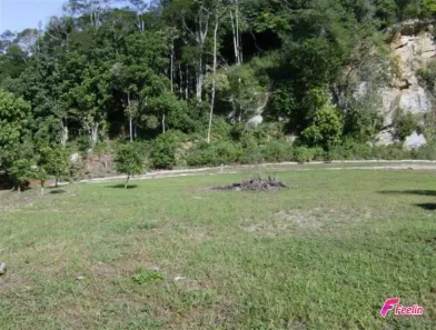 Lote/Terreno à venda, 22000m² no Ponta de Baixo, São José