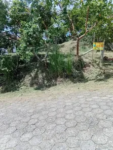 Lote/Terreno à venda, 402m² no Termas do Gravatal, Gravatal