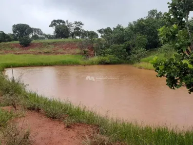 Fazenda/Sítio com 1 Quarto à venda, 150m² no Zona Rural, Campina Verde