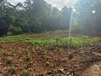 Lote/Terreno à venda, 20m² no Vale do Rio Caí, Nova Petrópolis