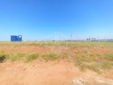 Lote/Terreno à venda, 290m² no Parque Residencial Novo Horizonte, Marília