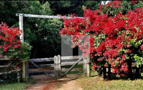 Fazenda/Sítio com 2 Quartos à venda, 600m² no Centro, Amparo