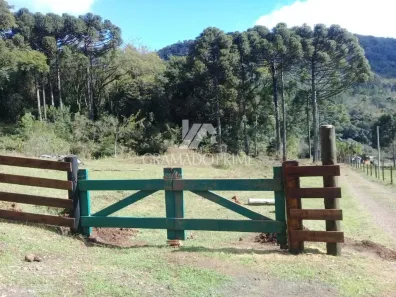 Lote/Terreno à venda, 149100m² no Linha Ávila Baixa, Gramado
