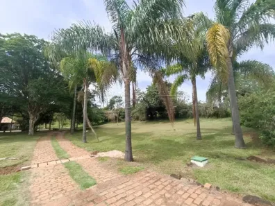 Casa com 4 Quartos à venda, 28000m² no Parque Espraiado, São Carlos
