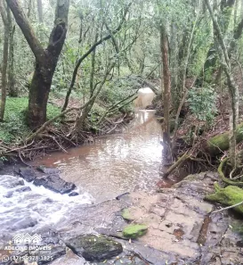 Lote/Terreno à venda, 850m² no , Carambeí