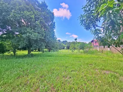 Lote/Terreno à venda, 5000m² no Recreio Internacional, Ribeirão Preto