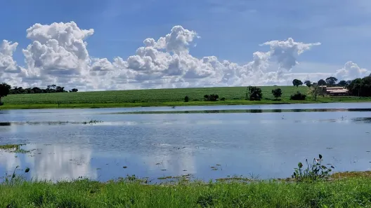 Fazenda/Sítio à venda, 1439900m² no Centro, Sud Mennucci