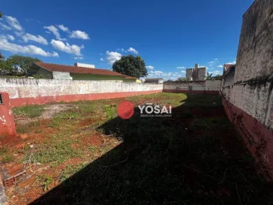 Lote/Terreno à venda, 330m² no Vila Ipiranga, Londrina