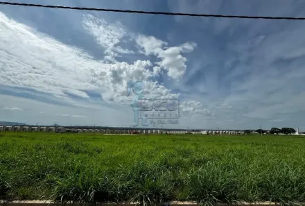 Lote/Terreno à venda, 420m² no Jardim Regatas, Ribeirão Preto