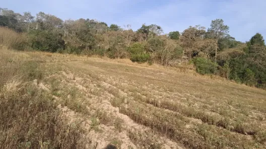 Fazenda/Sítio à venda, 500500m² no Tijuco Preto(Caucaia do Alto), Cotia