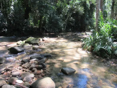 Fazenda/Sítio com 6 Quartos à venda, 60000m² no Japuíba, Cachoeiras de Macacu